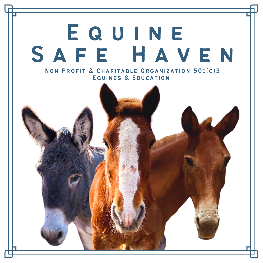 Equine Safe Haven Logo